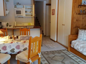 Studio lumineux avec balcon sud, plein cœur de La Tania, skis aux pieds - FR-1-513-43